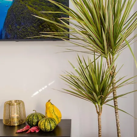 Maya's Flats & 103 - Brzezno Plaza Apartmán