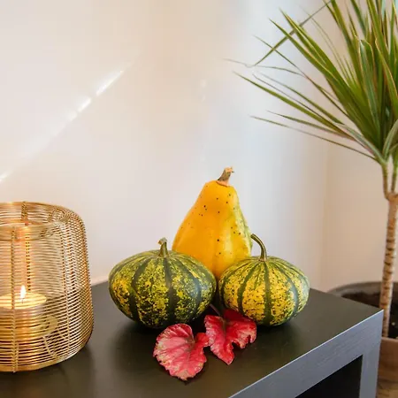 Maya's Flats & 103 - Brzezno Plaza Daire *