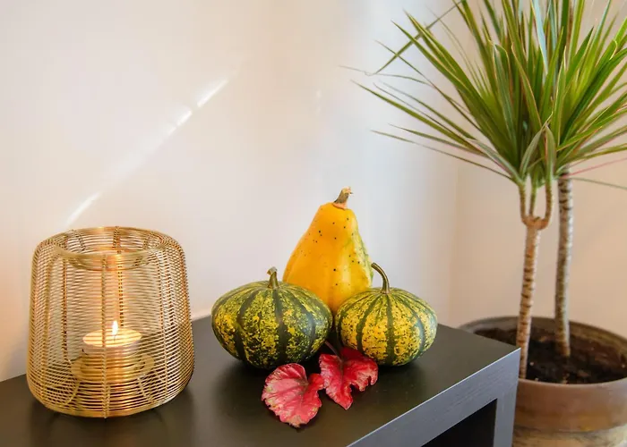 Maya's Flats & 103 - Brzezno Plaza Appartement *