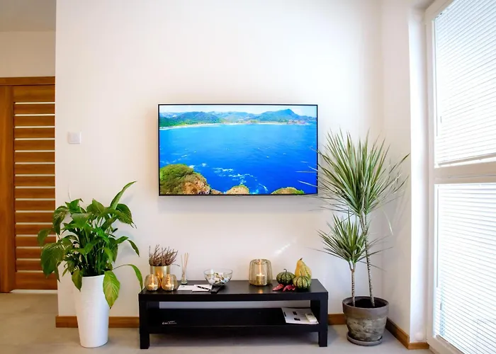 Appartement Maya's Flats & 103 - Brzezno Plaza